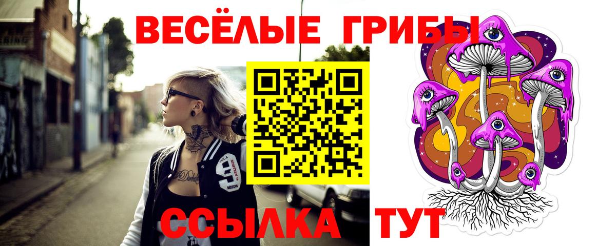 Спасск-Дальний  Галлюциногенные грибы мухоморы  Вход с VPN  Галлюциногенные грибы мухоморы 